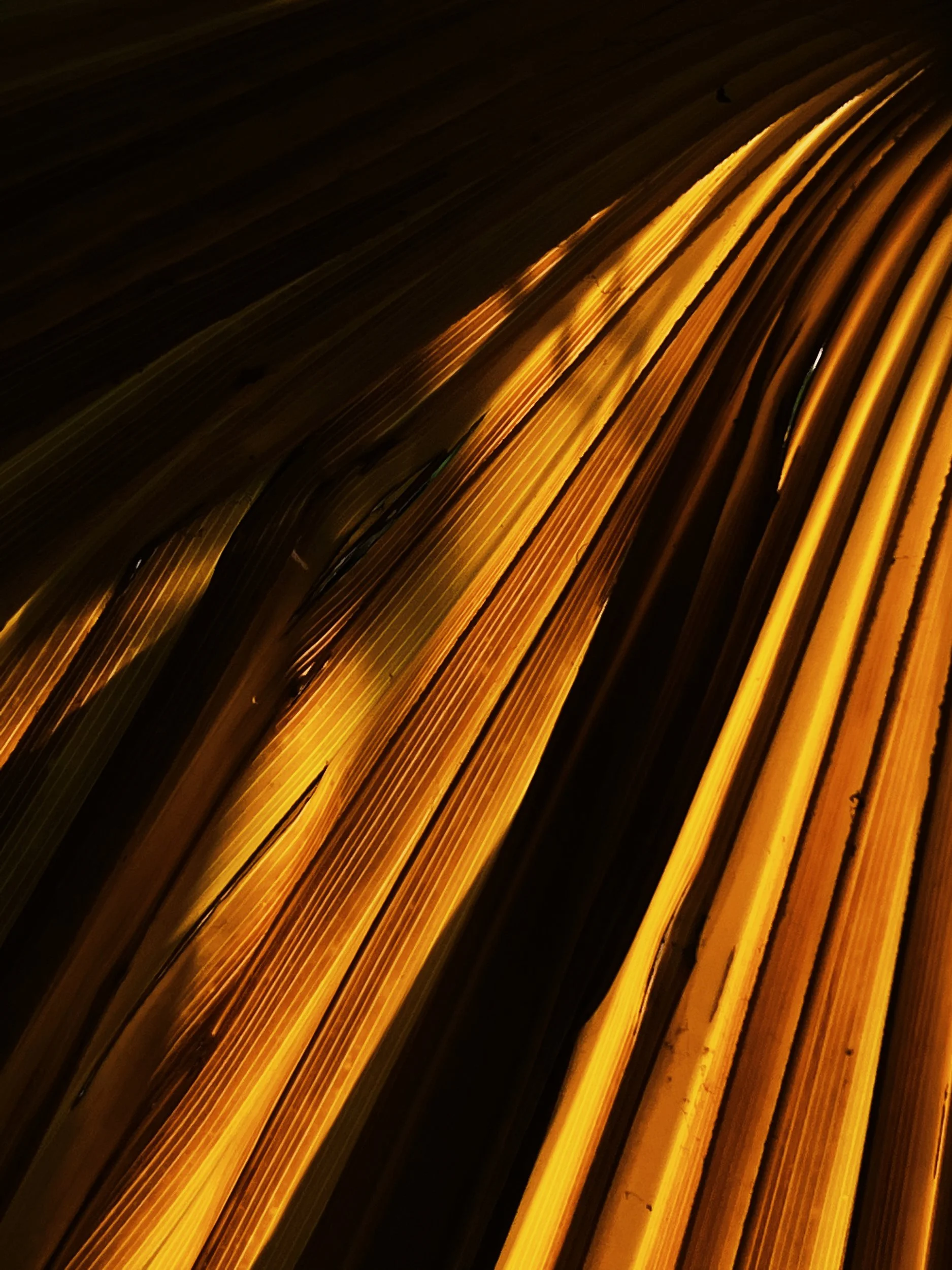 Missing Pieces-138.JPG