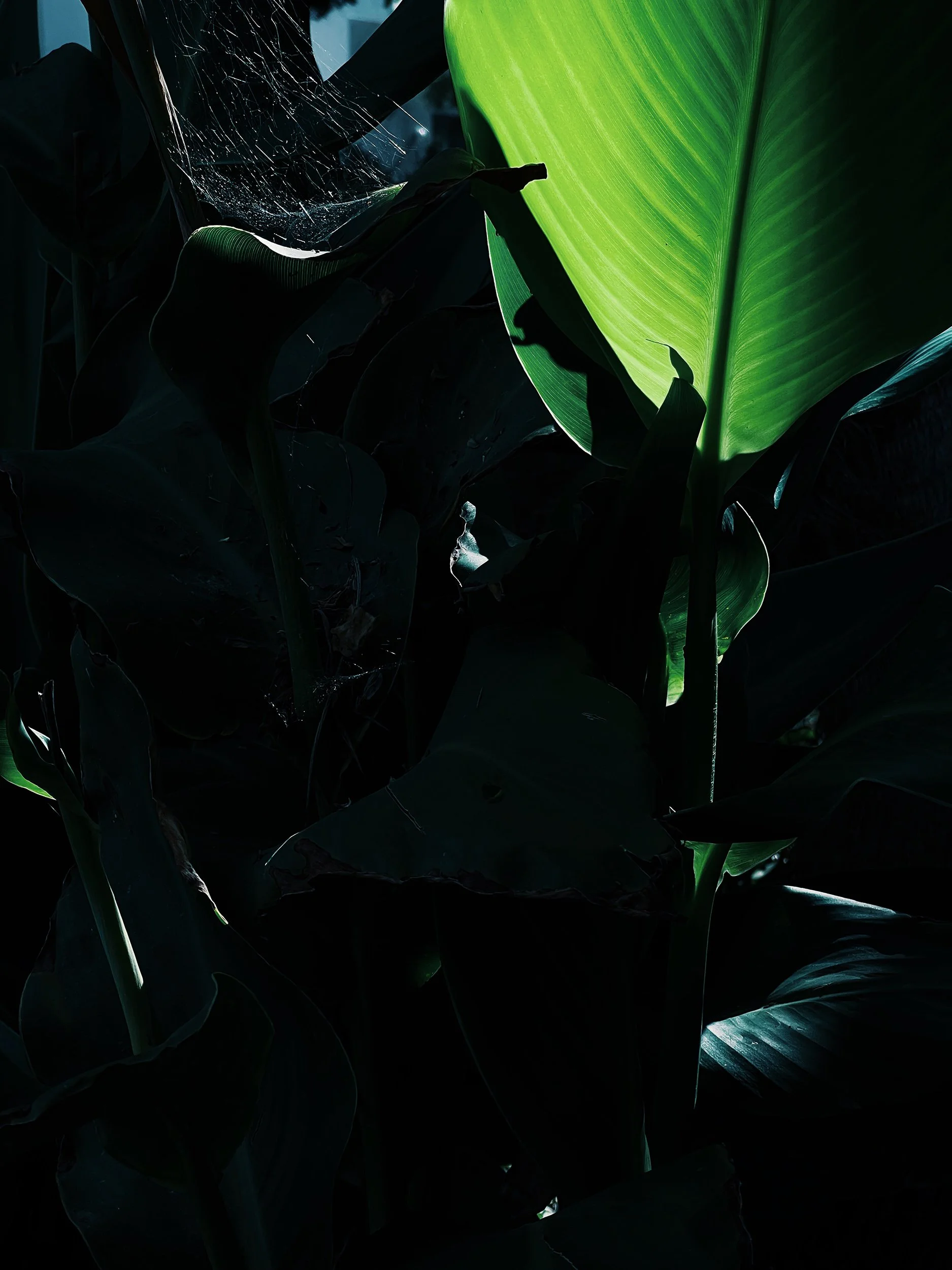 Missing Pieces-144.JPG