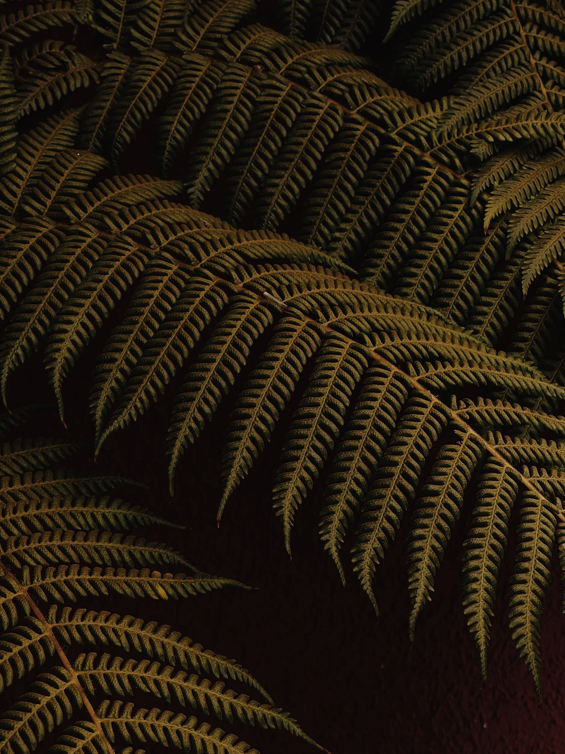 Missing Pieces-146.JPG