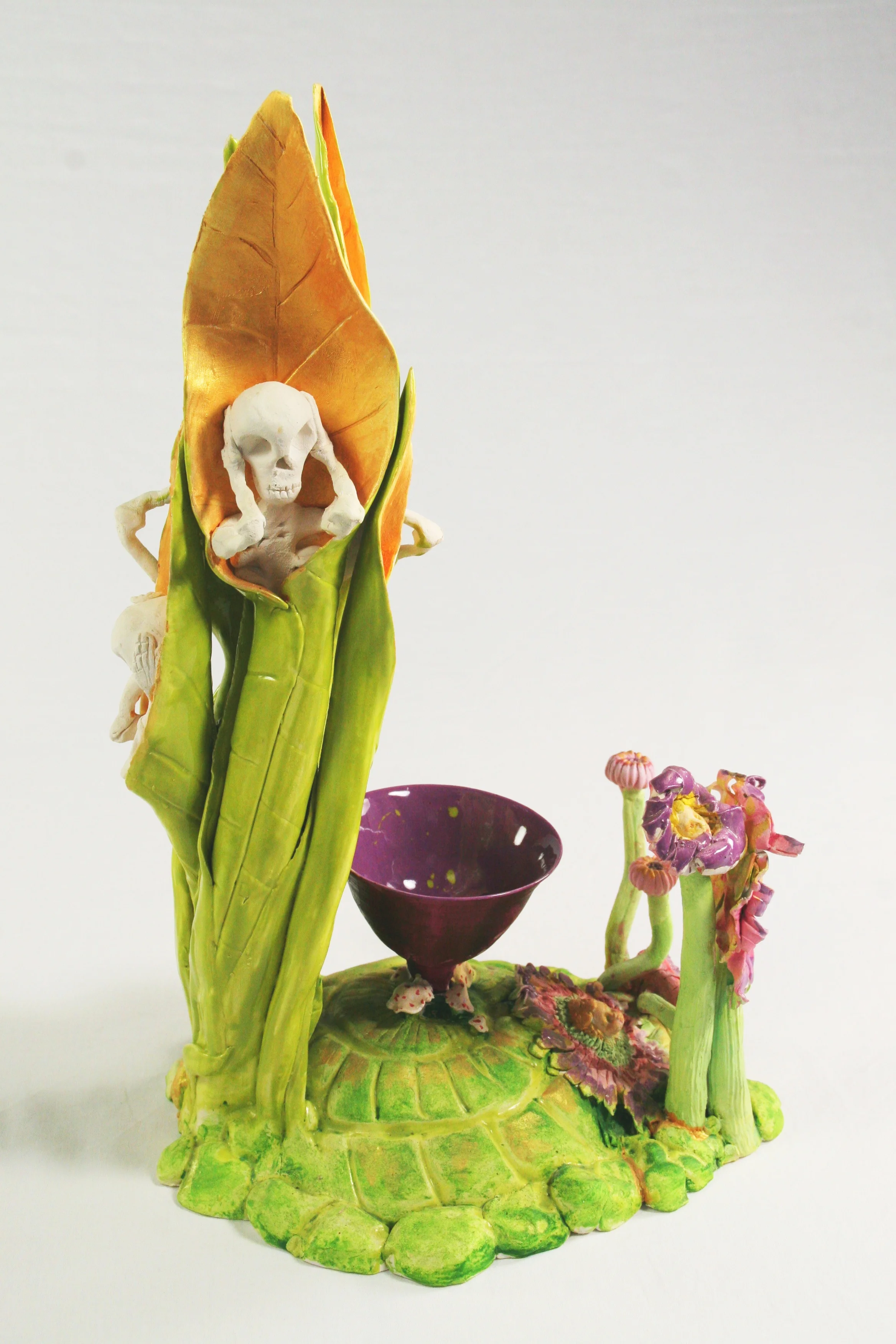 The Fountain of Youth