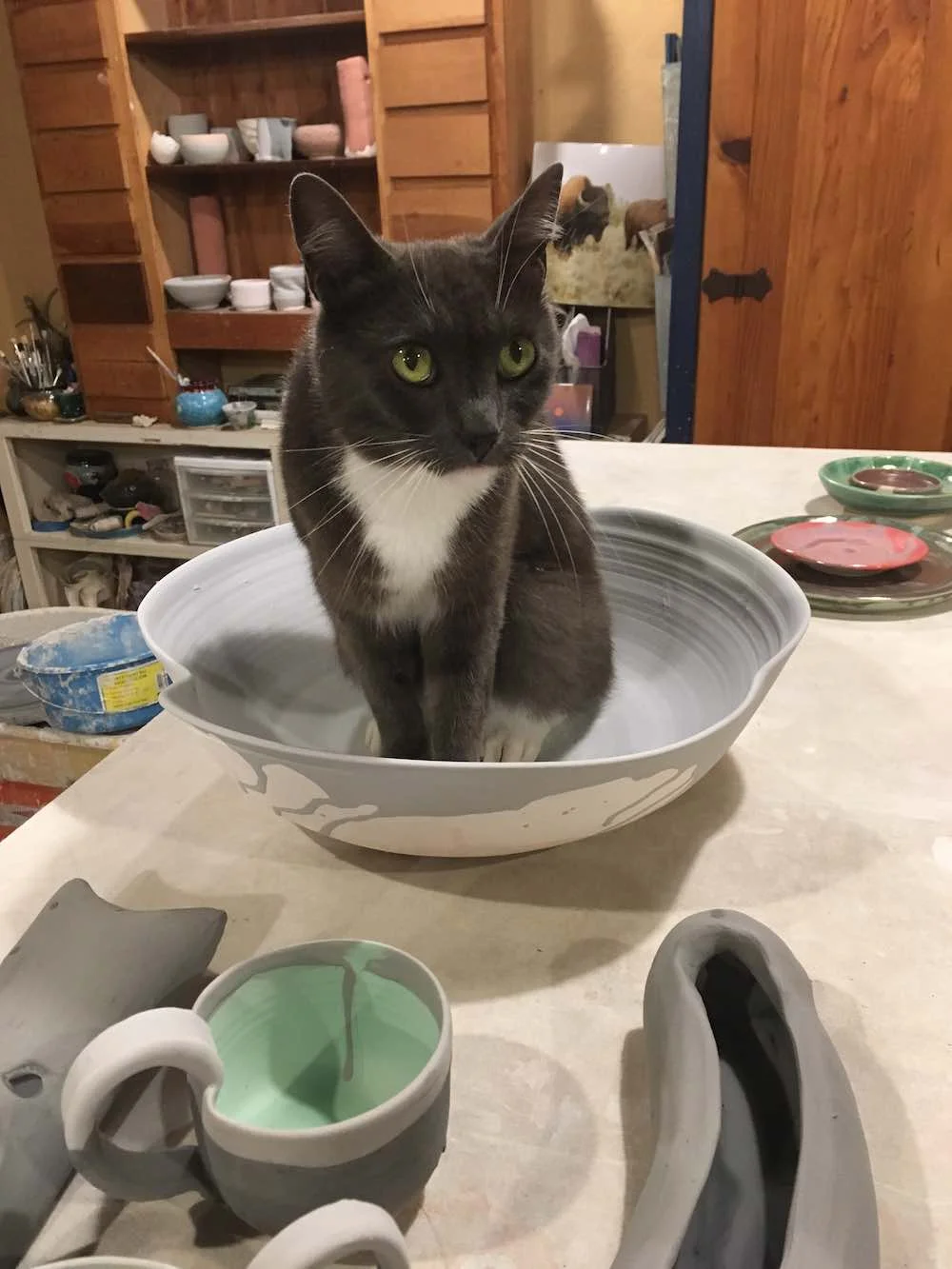 Home Show - Eliza's House