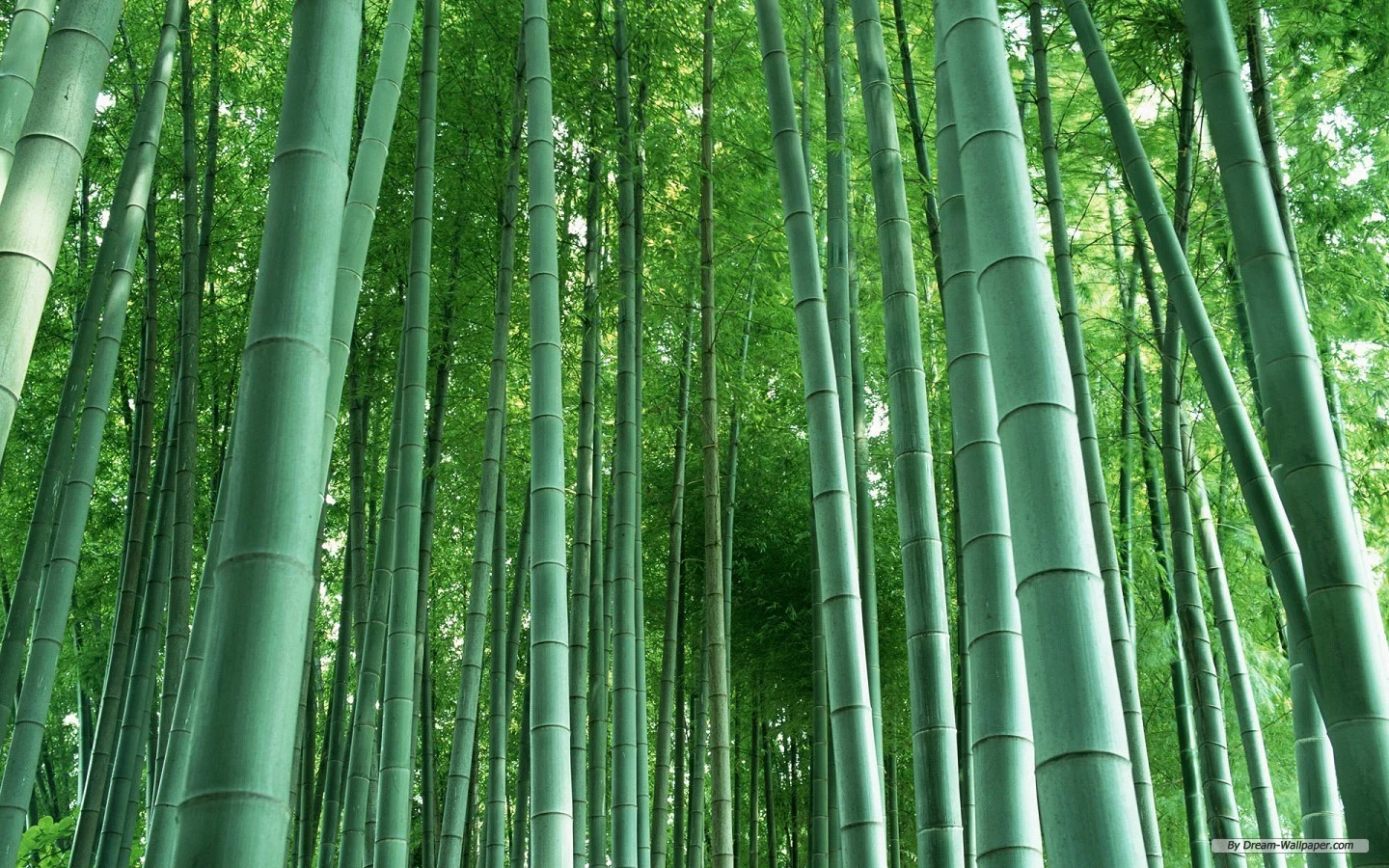 PlanIt Greener