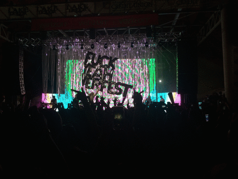 Flaming Lips.gif
