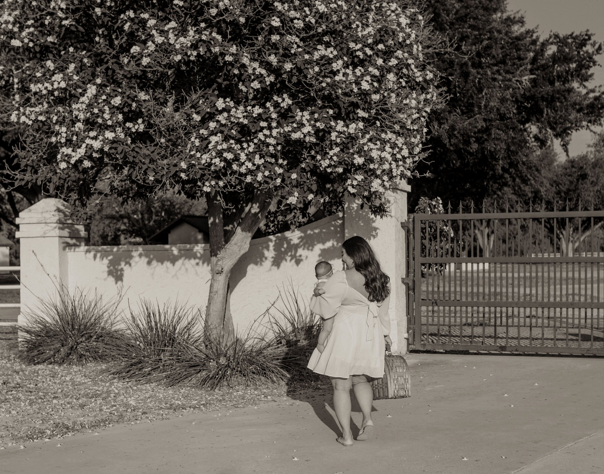 B56A9403bw.jpg