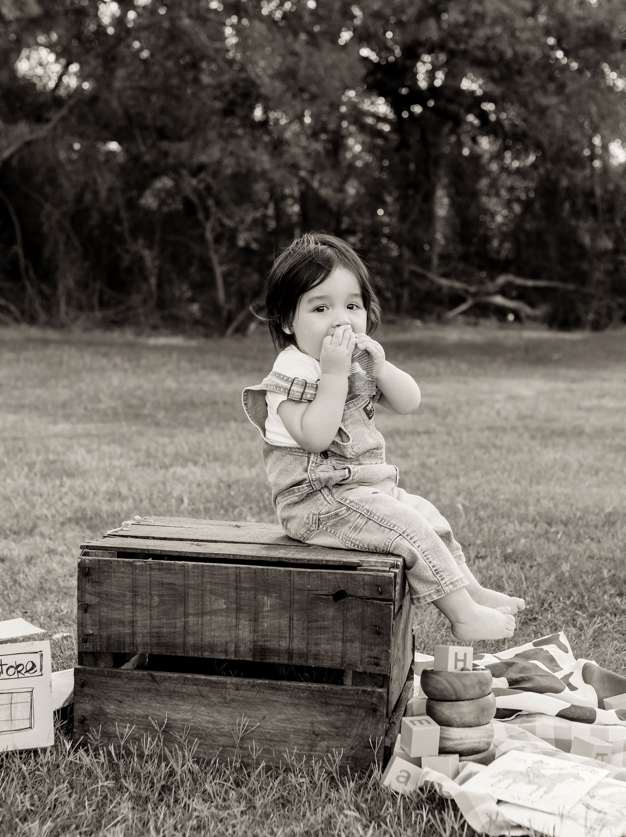 Z12-3227bw.jpg