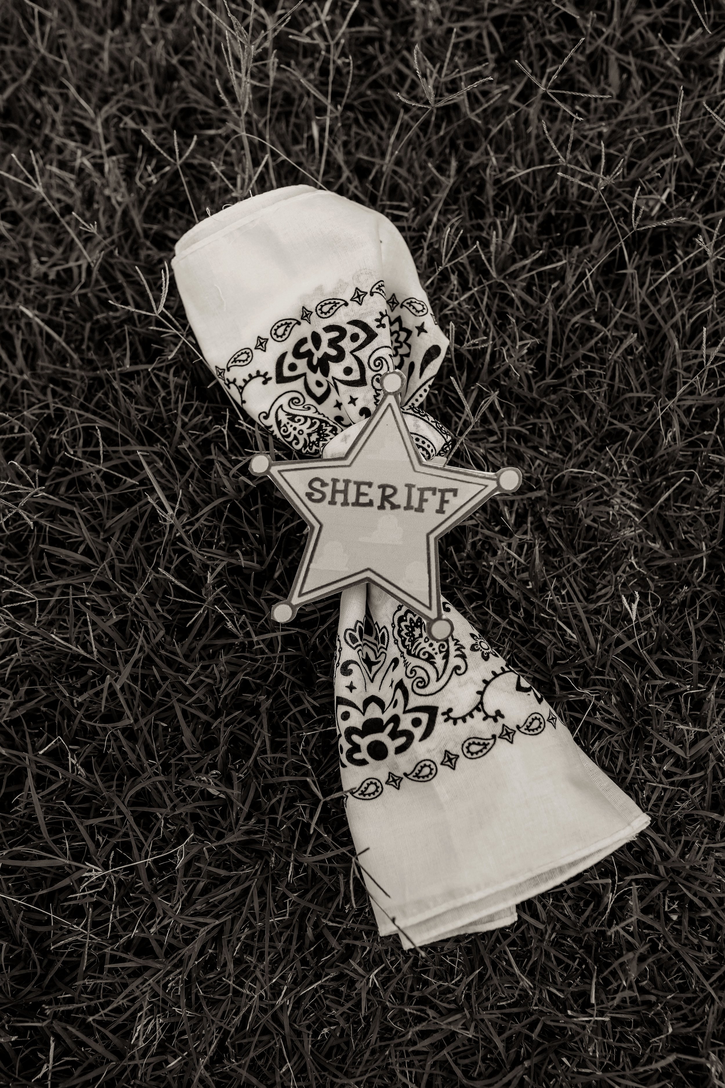 Z12-3427bw.jpg