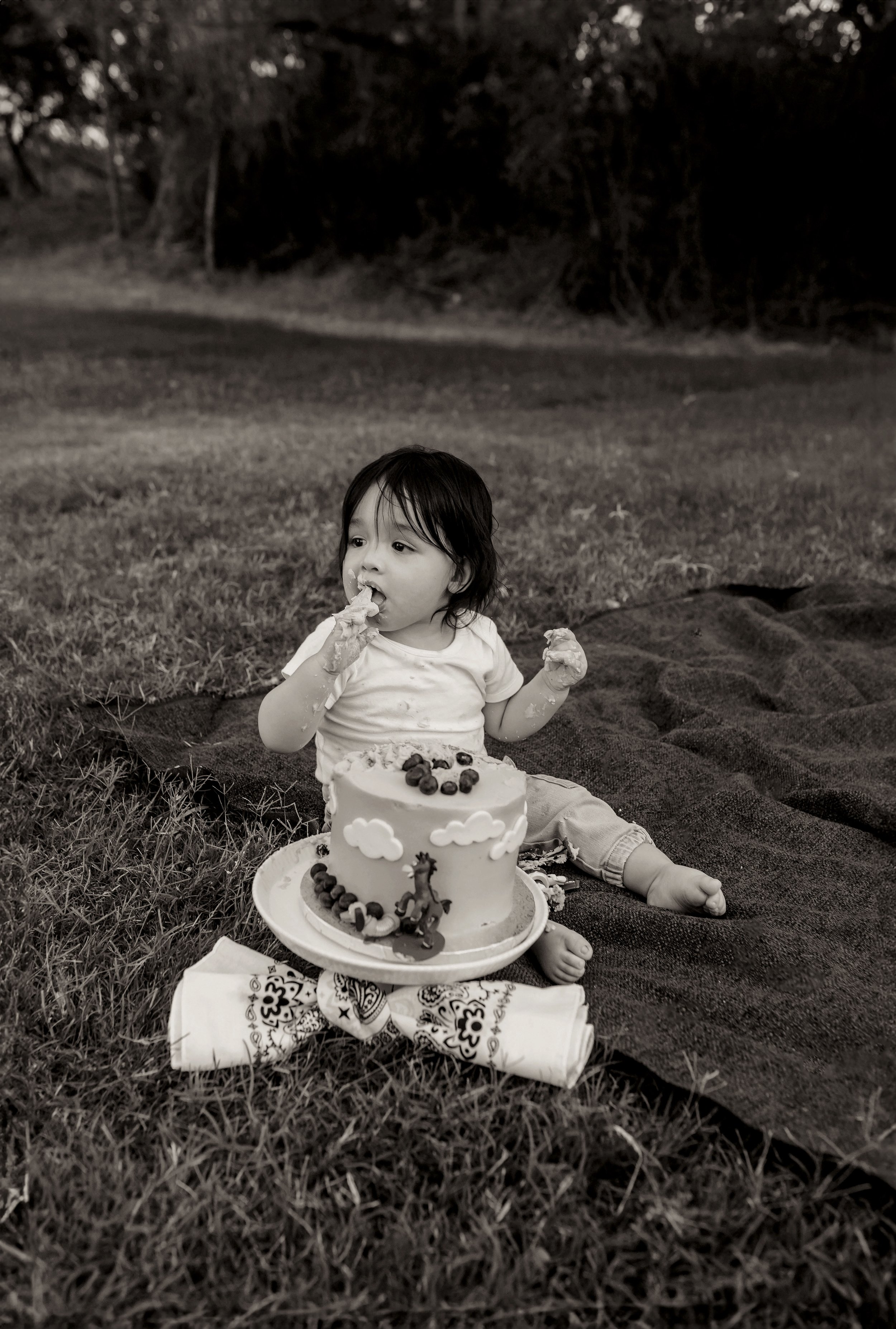 Z12-3600bw.jpg
