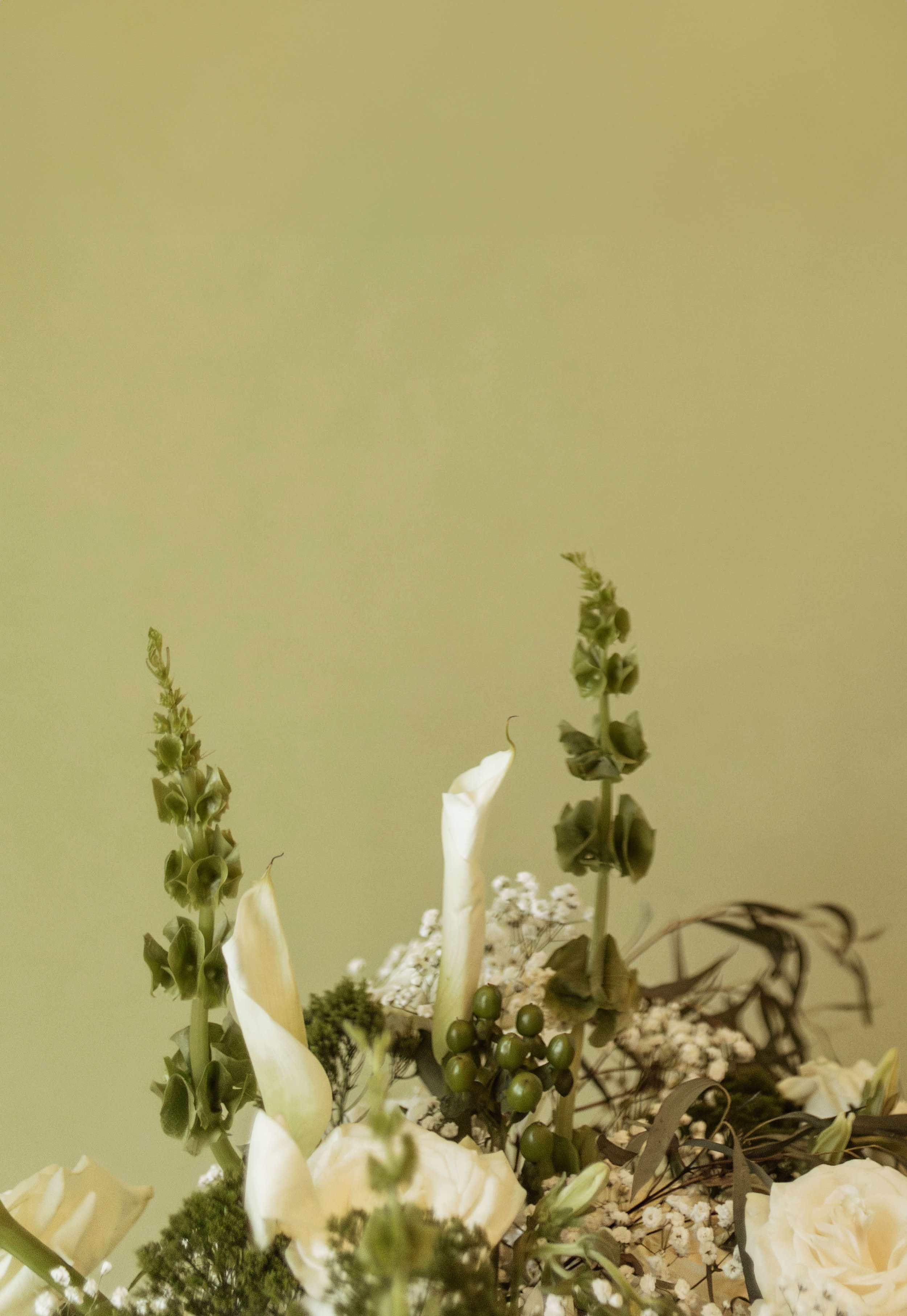 Larissa + Christian--179.jpg