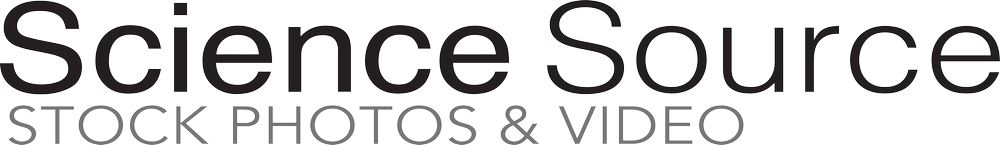 Science Source | Stock Medical & Science Visual Content