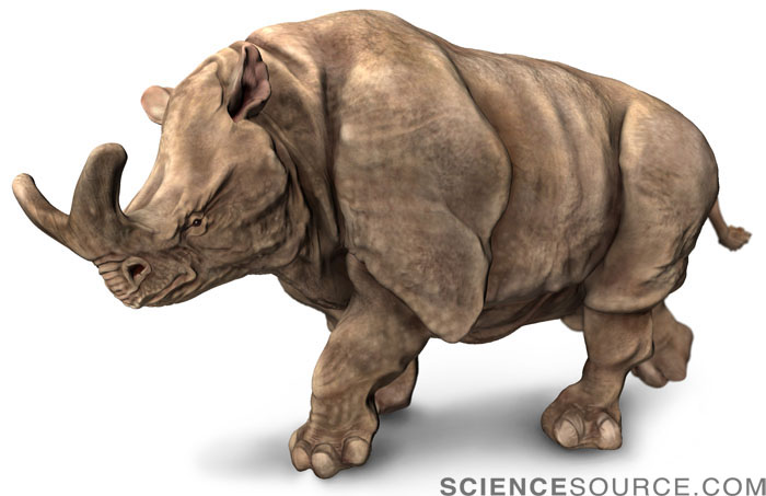 Brontotherium