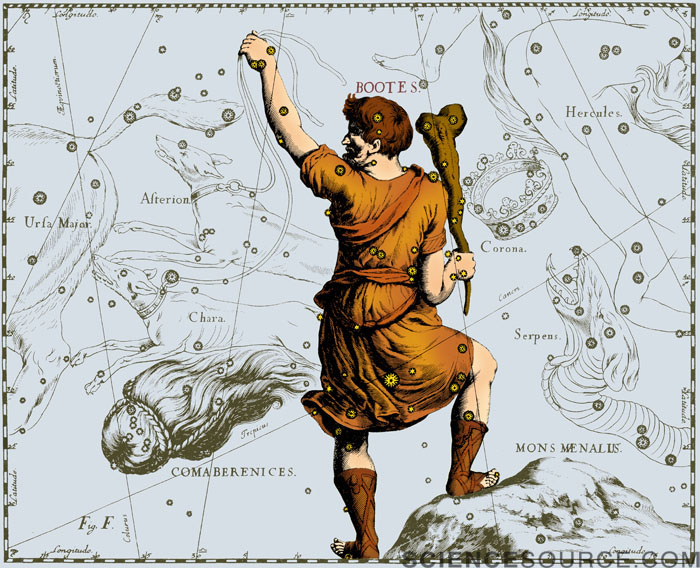 Bootes Constellation, 1687