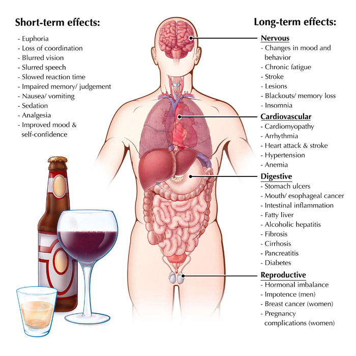 Effects of Alcohol Consumption