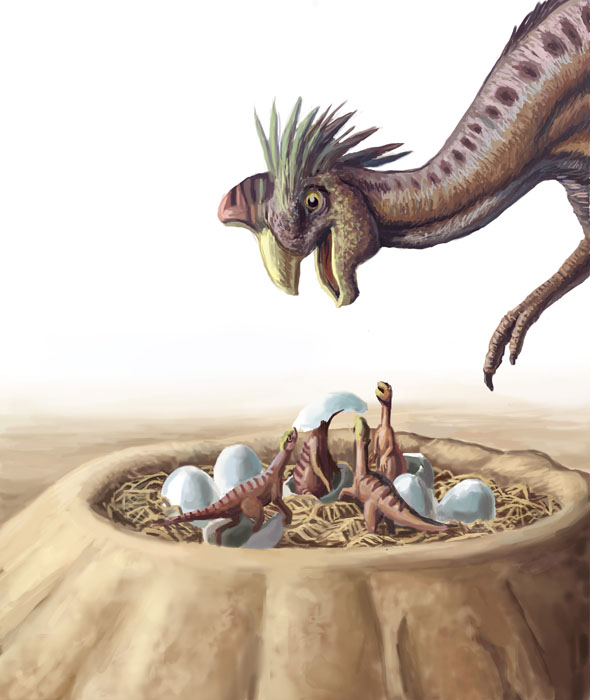 Oviraptor and Nest
