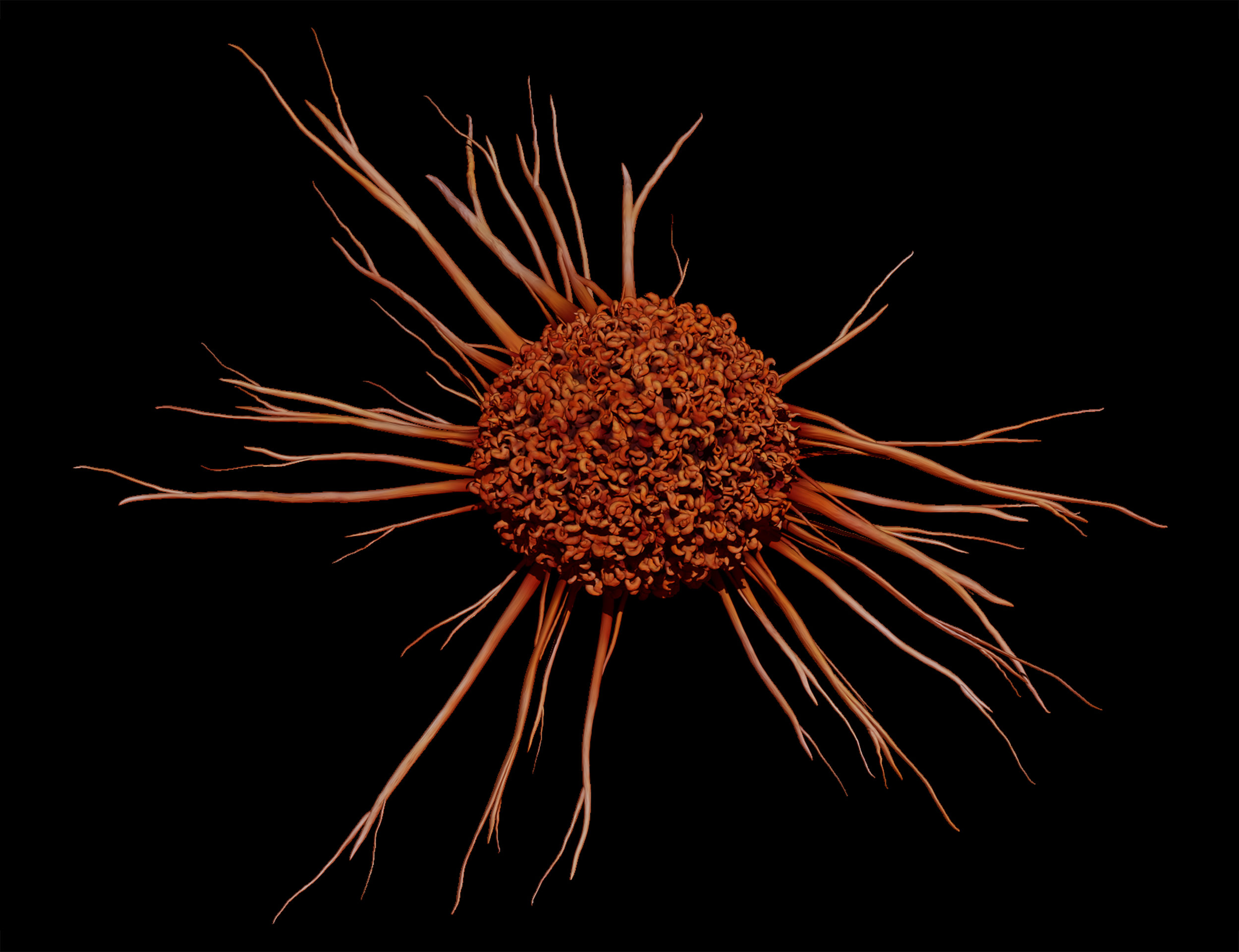 Cancer Cell, 3D Illustration