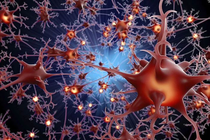 Nerve cells, 3D illustration