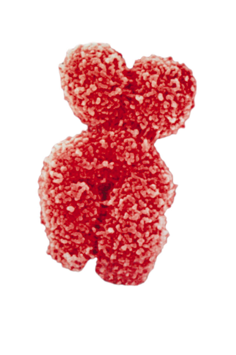 chromosome.jpg