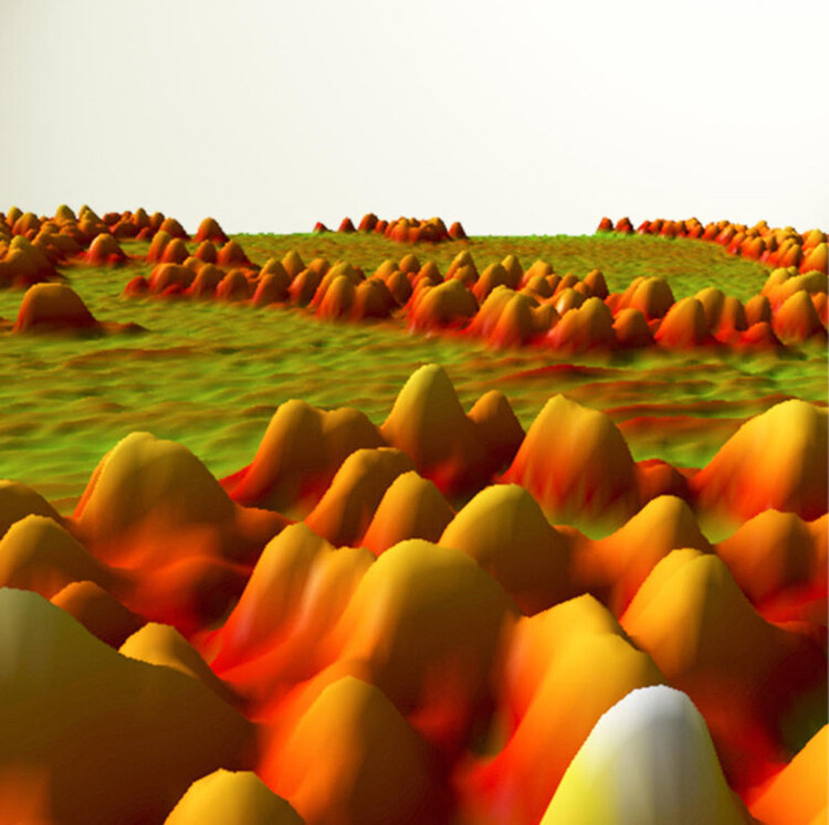 |Atomic Force Micrograph of plasma membrane proteins.