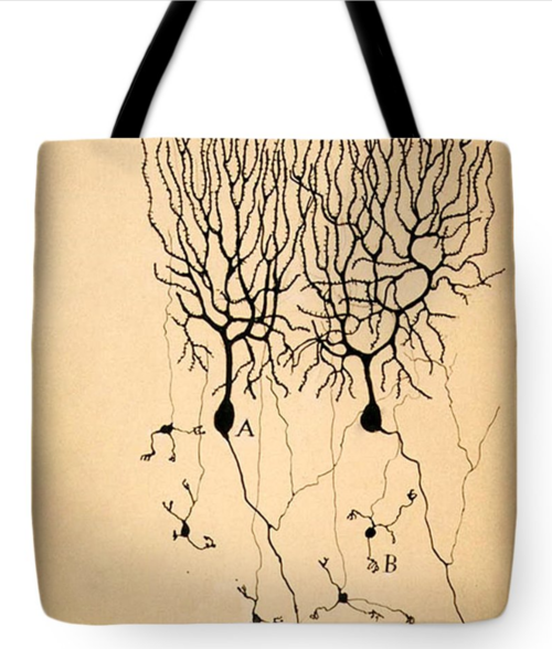 Cajal tote bag and other products.