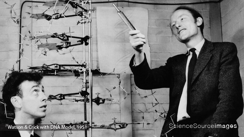 Vintage Photos of WATSON &amp; CRICK WITH DNA MODEL