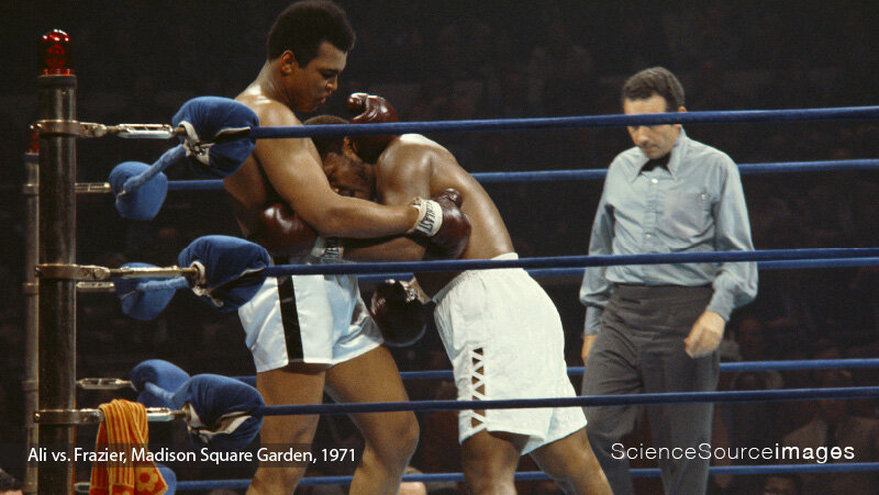 Boxer Muhammad ALI VS. FRAZIER, Madison Square Garden Fight, 1971
