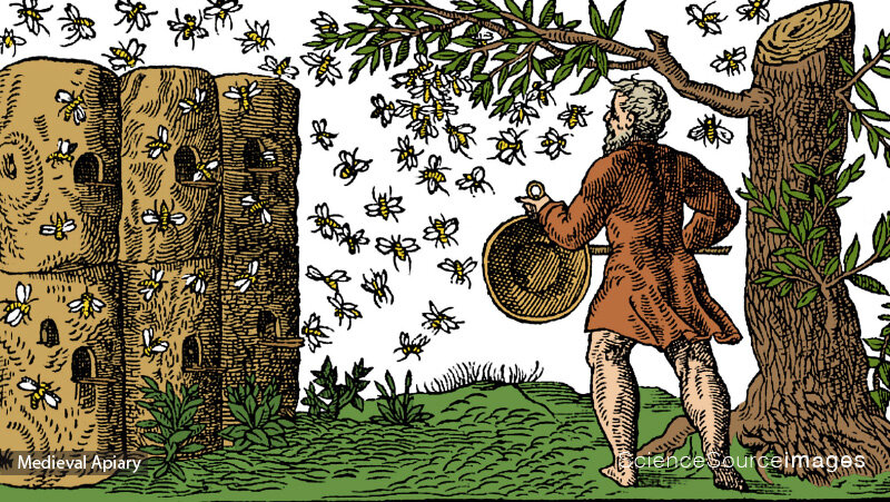 Antique Print of a Medieval Beekeeper and Bees