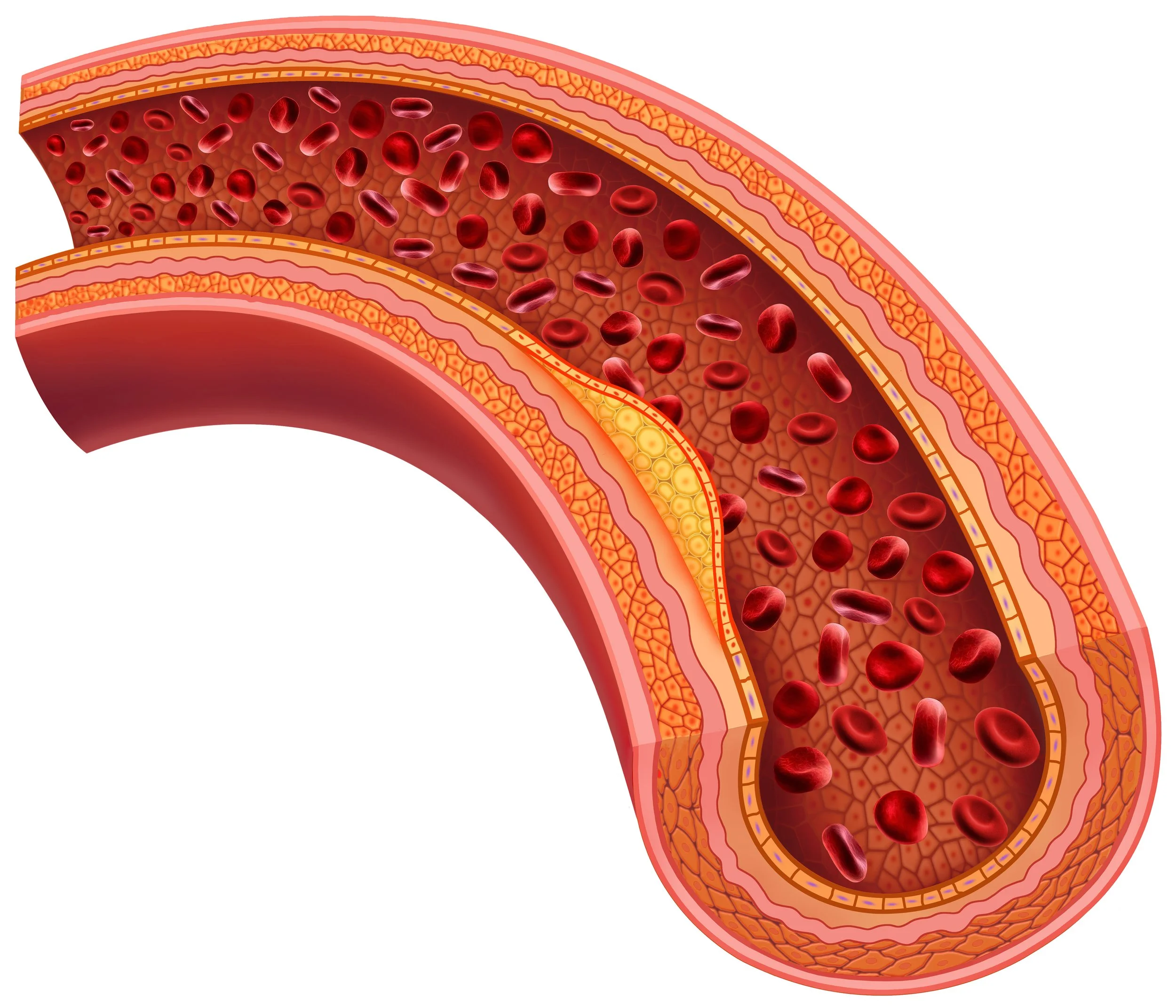 ScienceSourceImages_2525613_HighRes.jpg