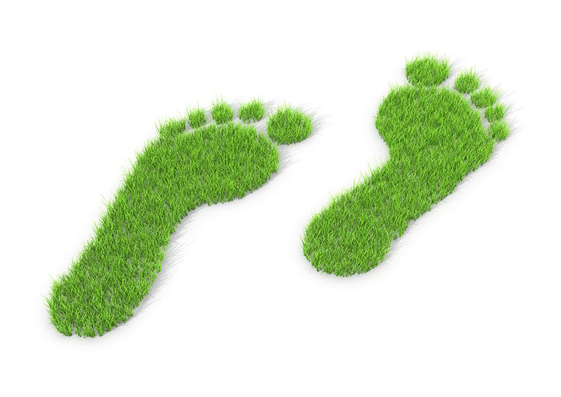 Carbon Footprint