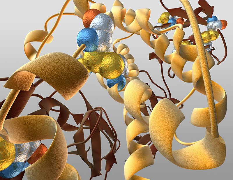 Human Growth Hormone