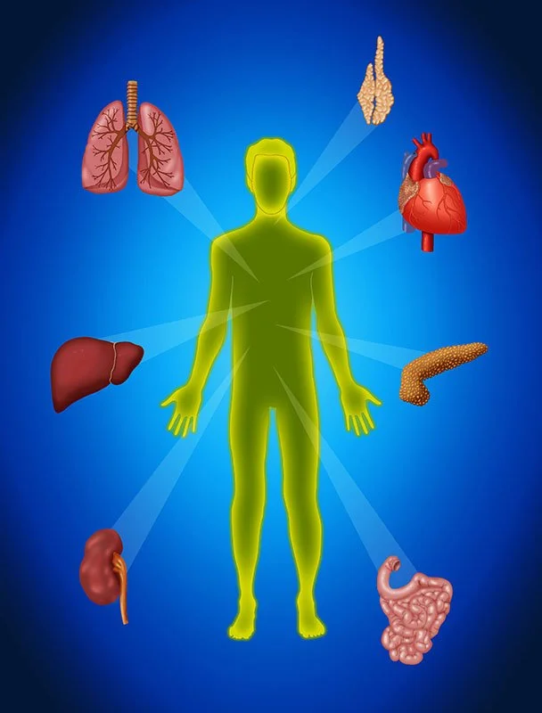 Organ Transplantation