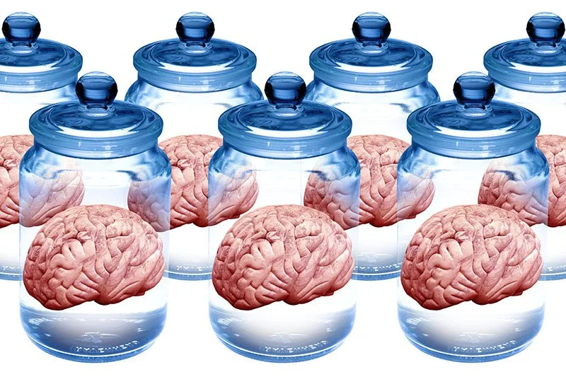 Brains in Jars