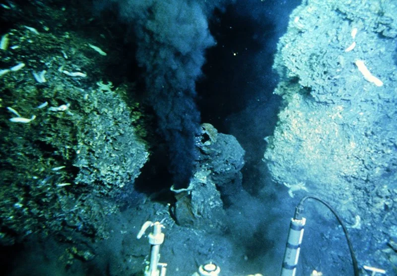 Deep Sea Vent