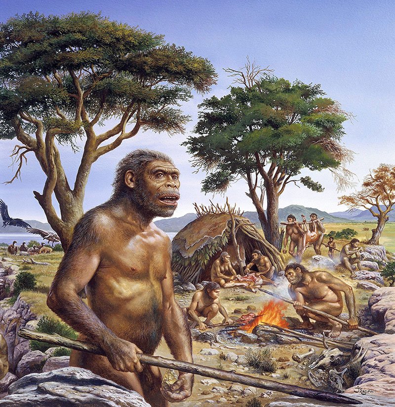 Homo Erectus Hunting