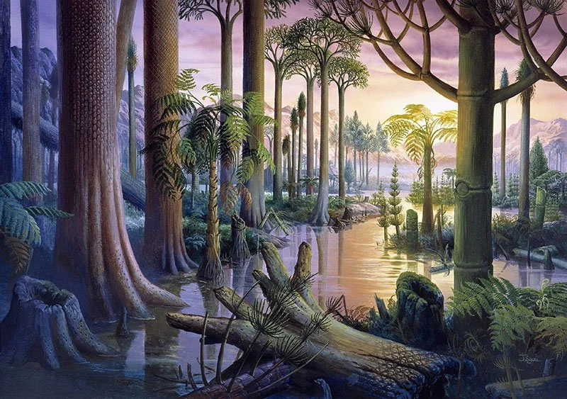 Landscape of Carboniferous Period