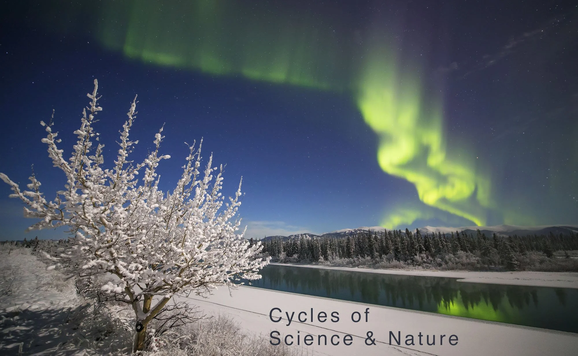 aurora borealis, yukon, canada