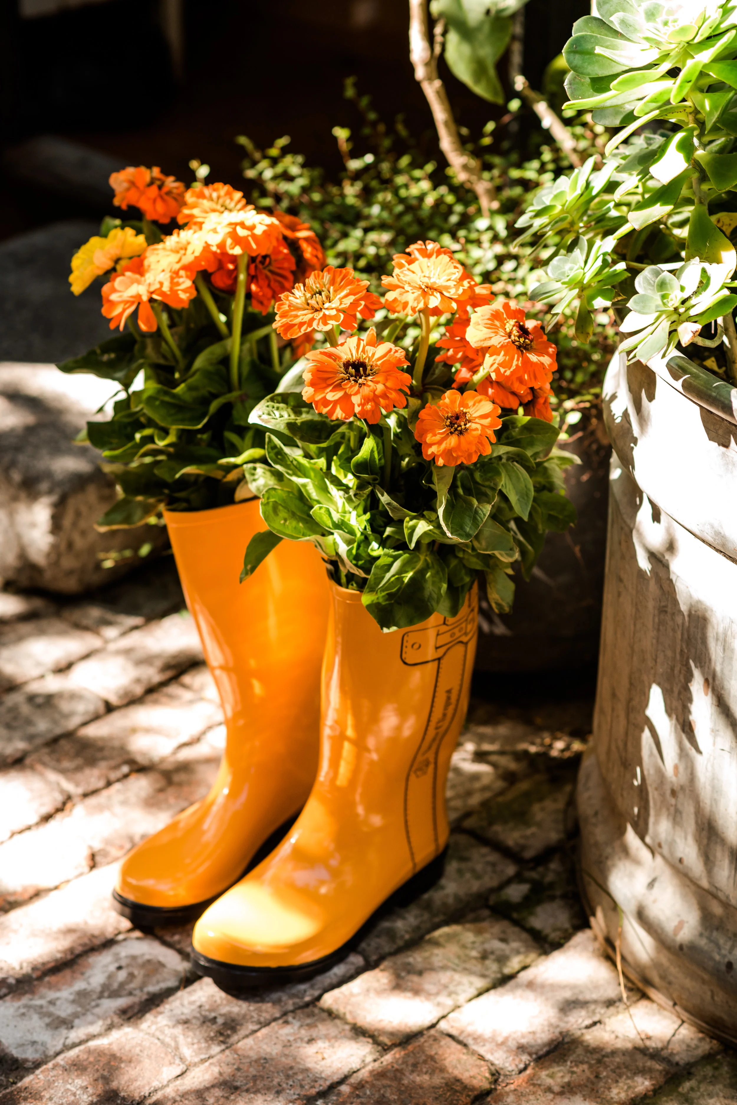 YellowWeek18-129.jpg