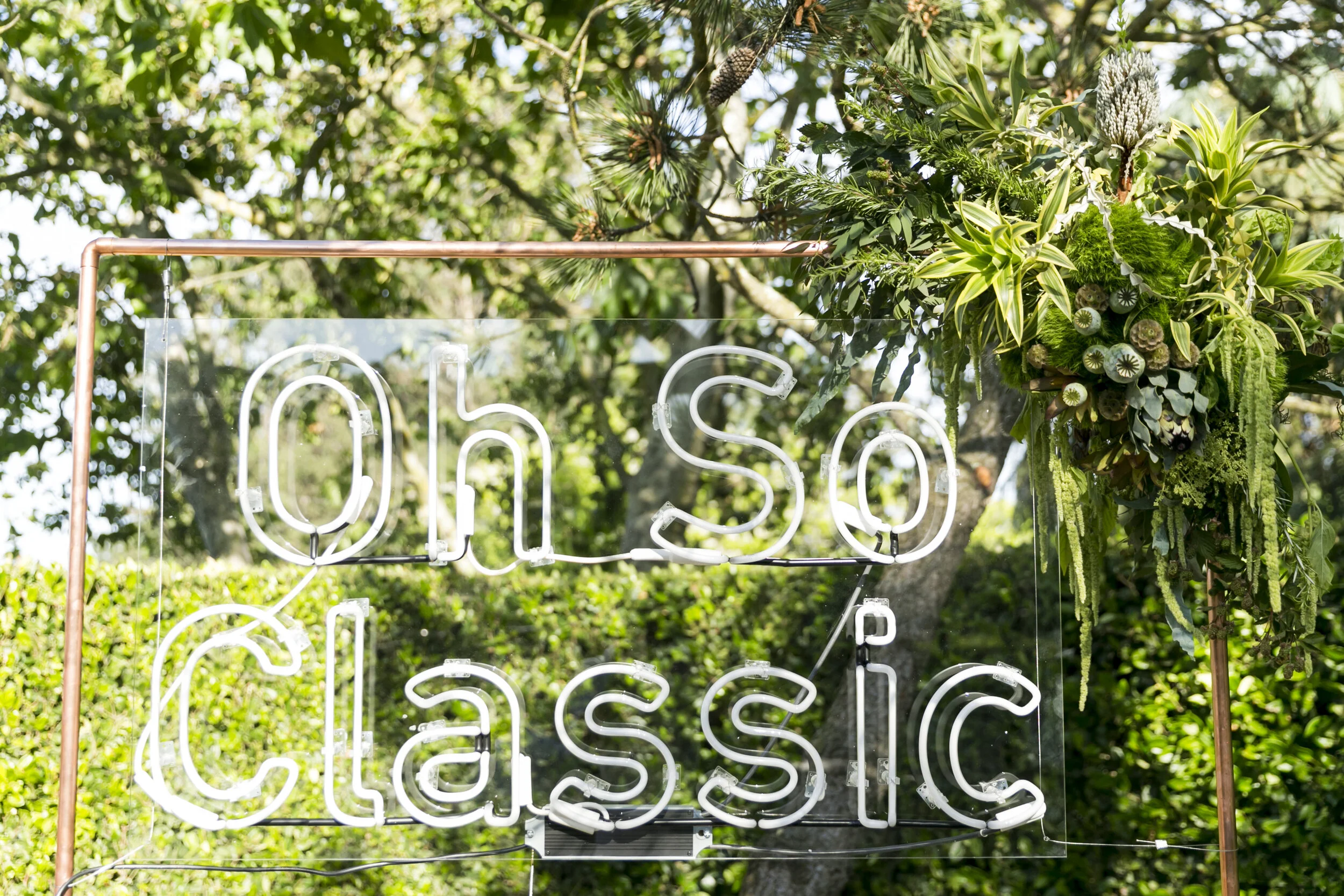 Cornerstone Sonoma Event 6.11.19_58.jpg