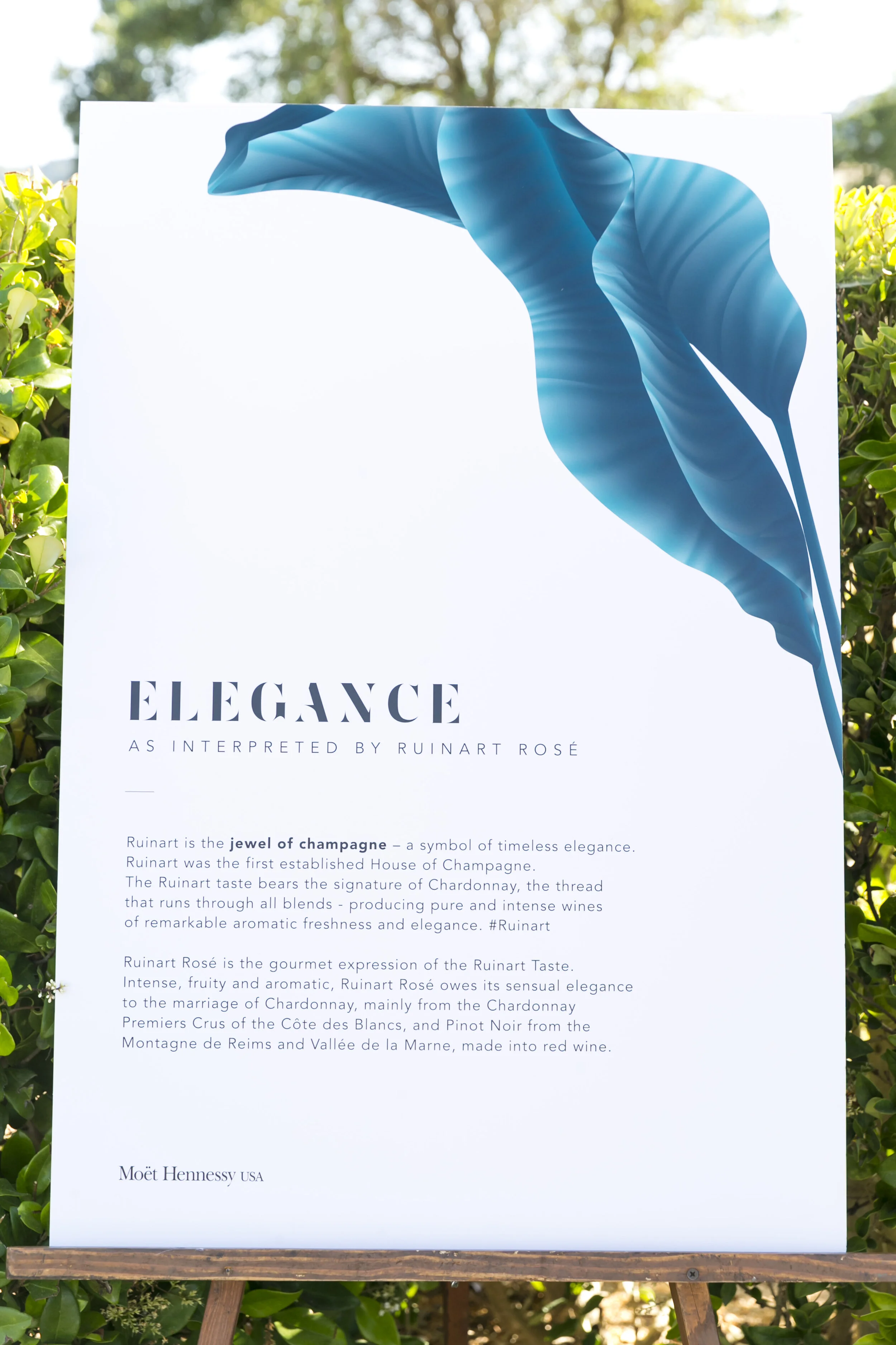 Cornerstone Sonoma Event 6.11.19_77.jpg