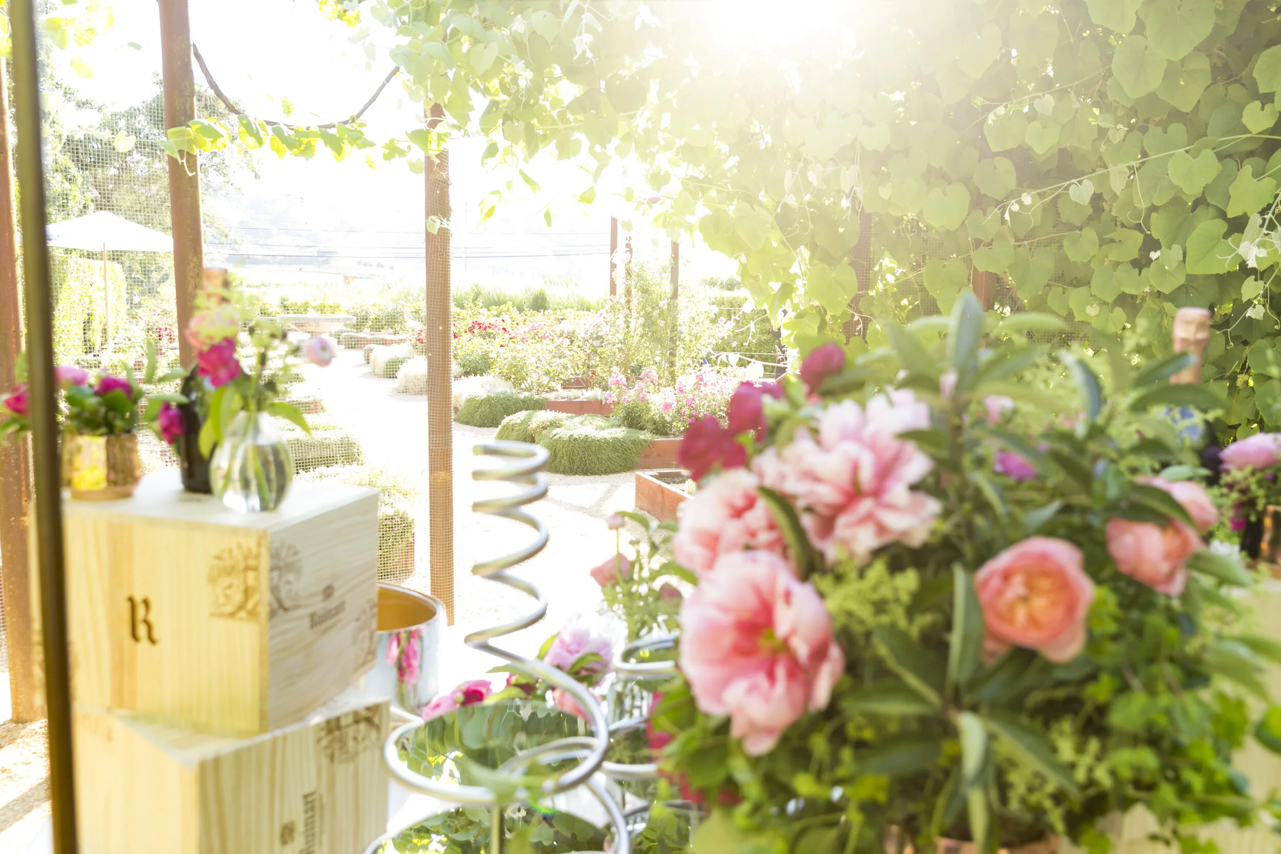 Cornerstone Sonoma Event 6.11.19_94.jpg