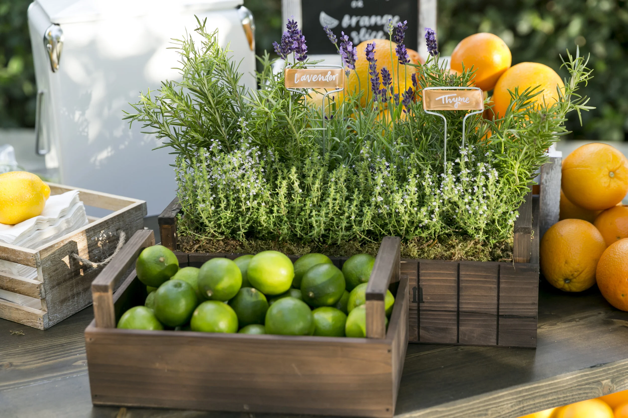Cornerstone Sonoma Event 6.11.19_124.jpg