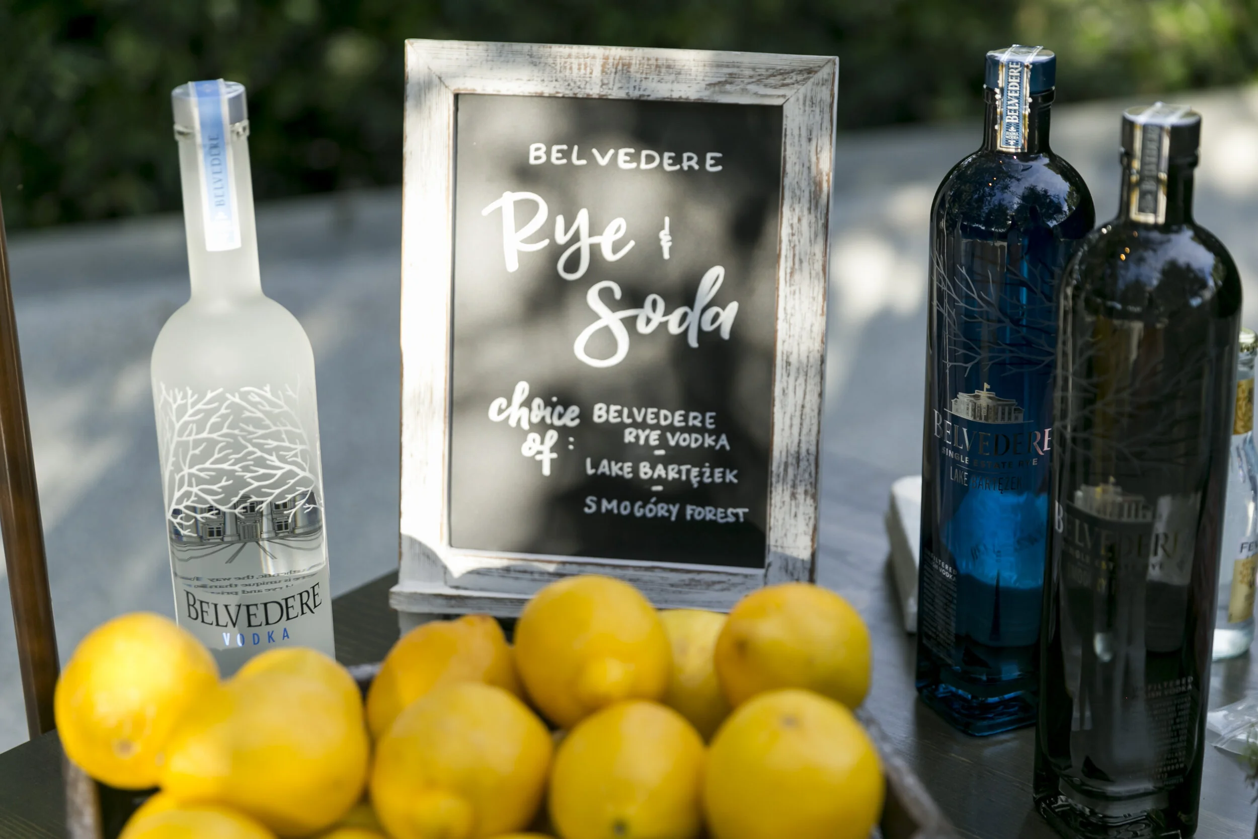 Cornerstone Sonoma Event 6.11.19_126.jpg