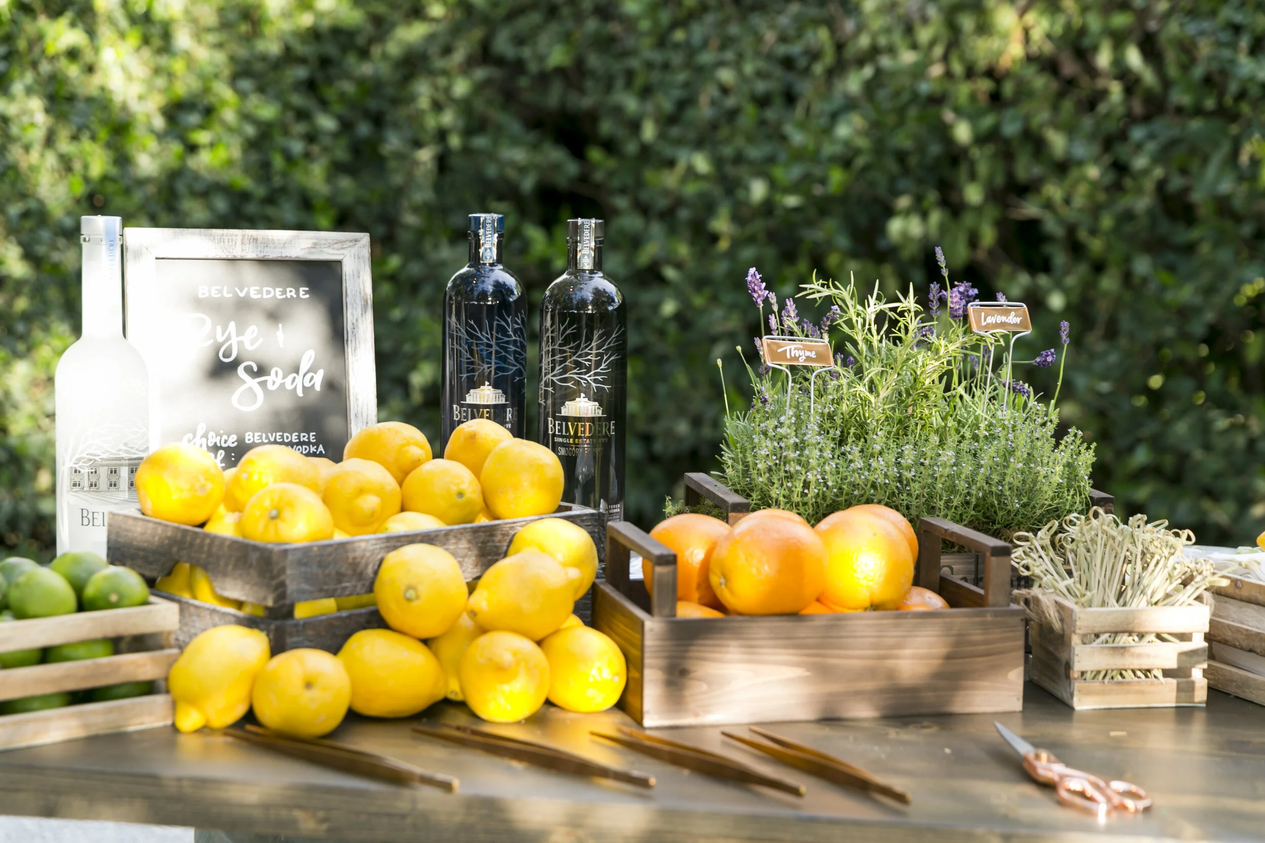 Cornerstone Sonoma Event 6.11.19_127.jpg
