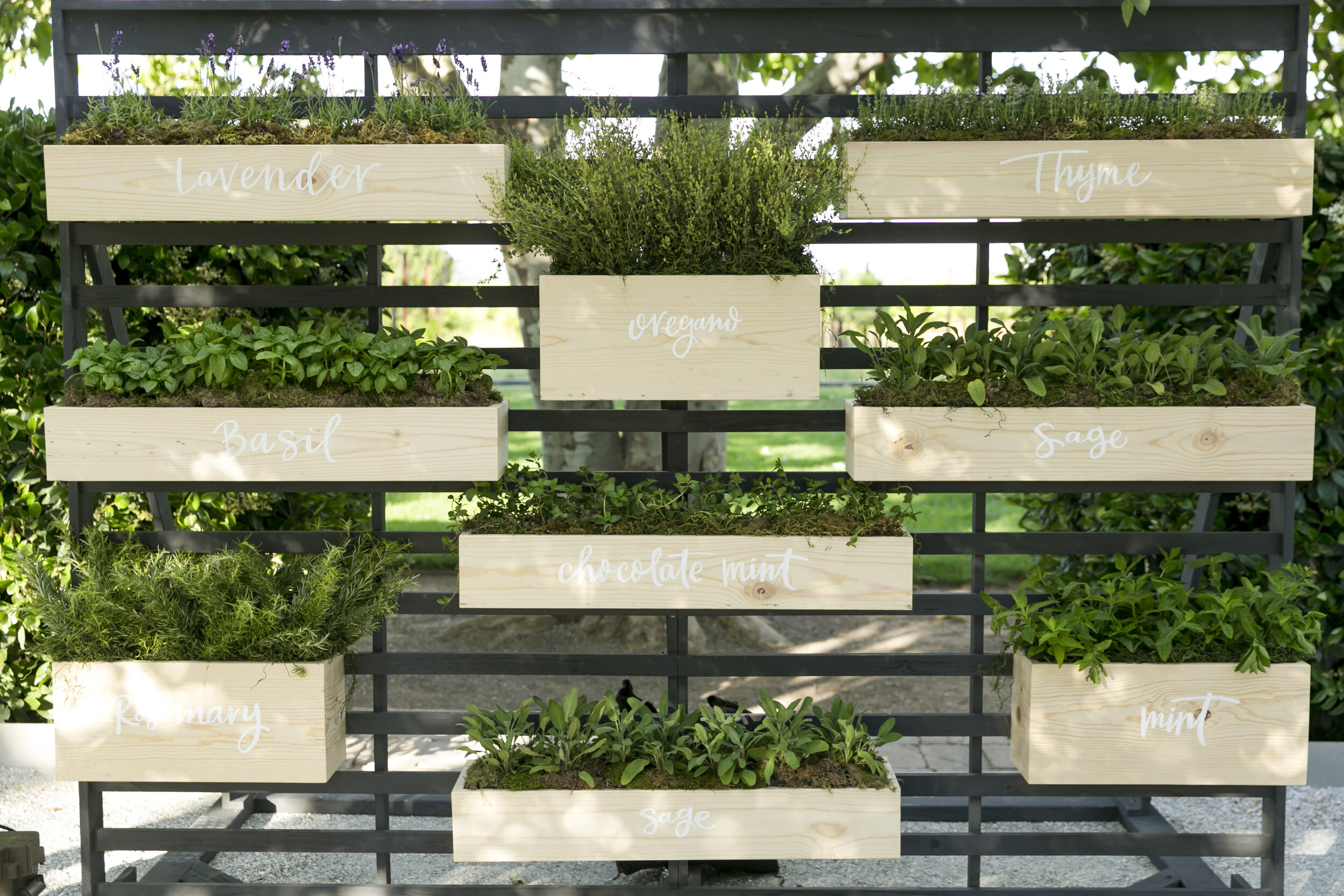 Cornerstone Sonoma Event 6.11.19_129.jpg