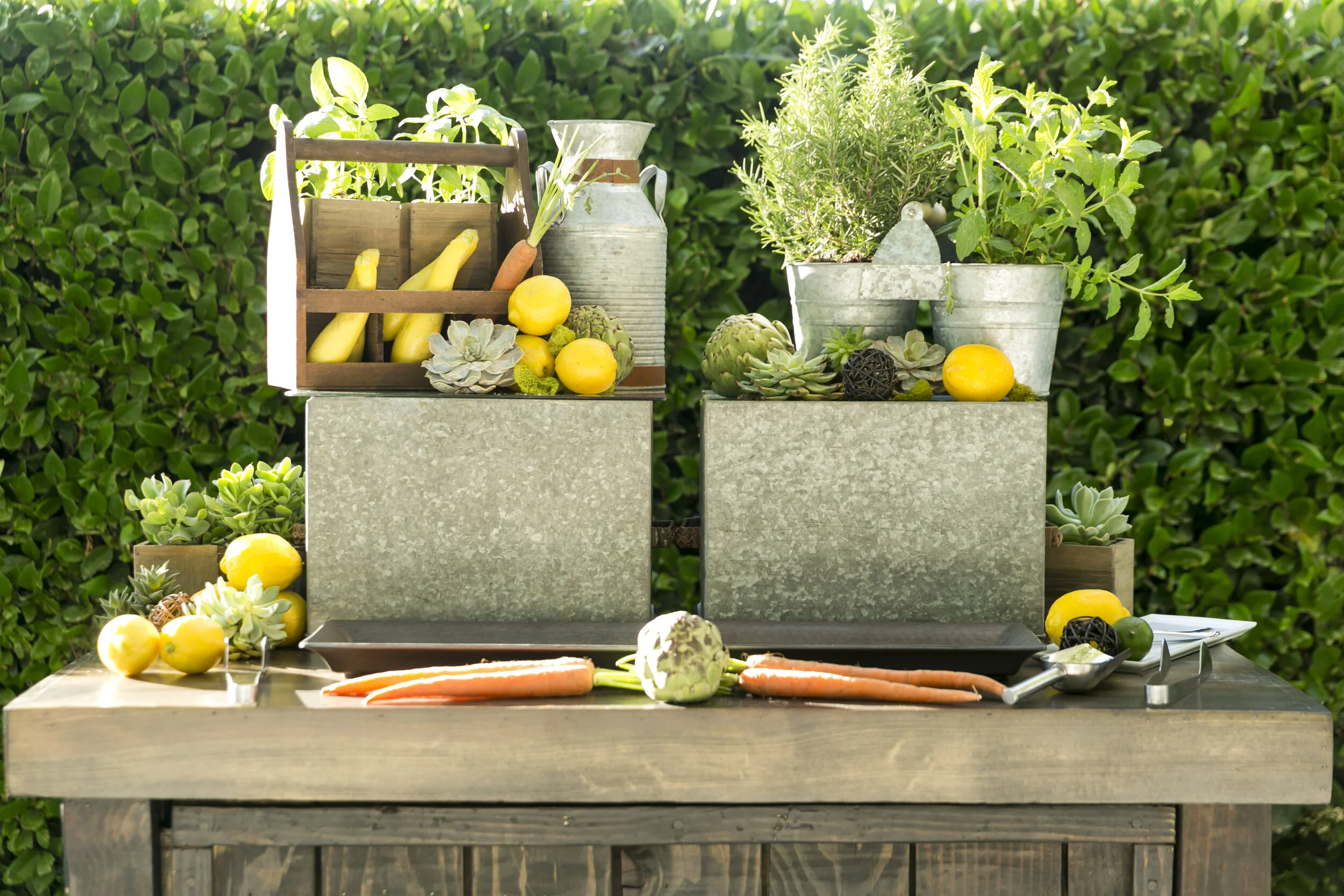 Cornerstone Sonoma Event 6.11.19_130.jpg