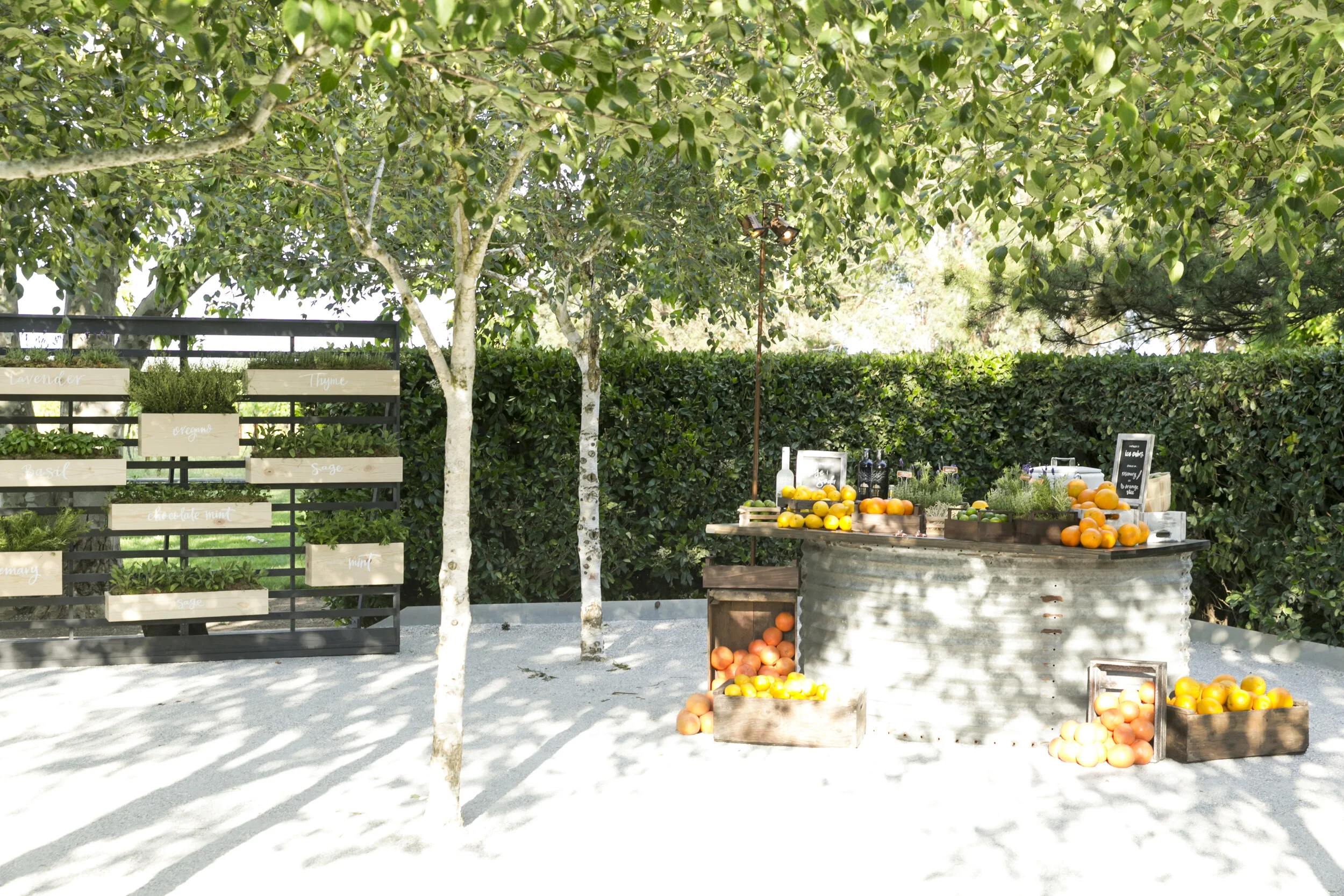 Cornerstone Sonoma Event 6.11.19_131.jpg