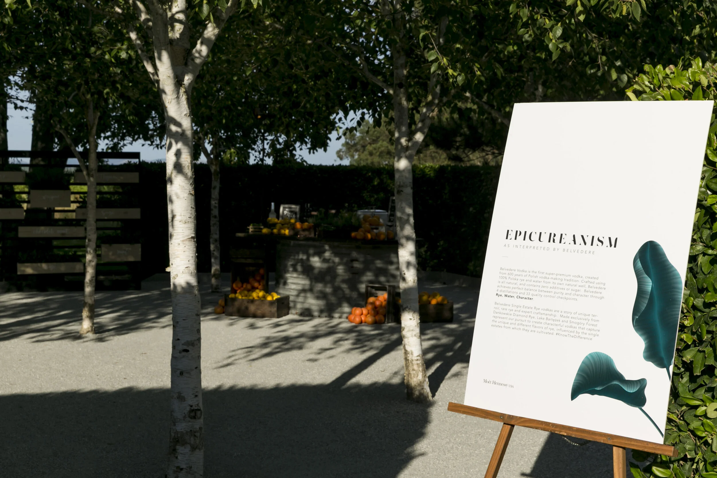 Cornerstone Sonoma Event 6.11.19_132.jpg