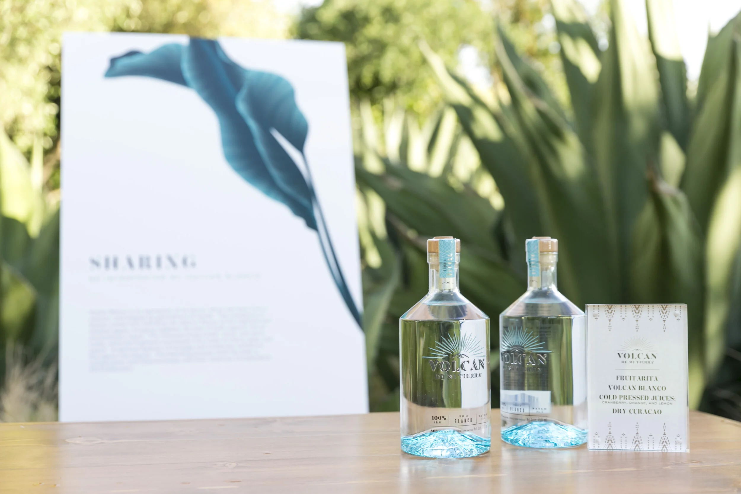 Cornerstone Sonoma Event 6.11.19_144.jpg