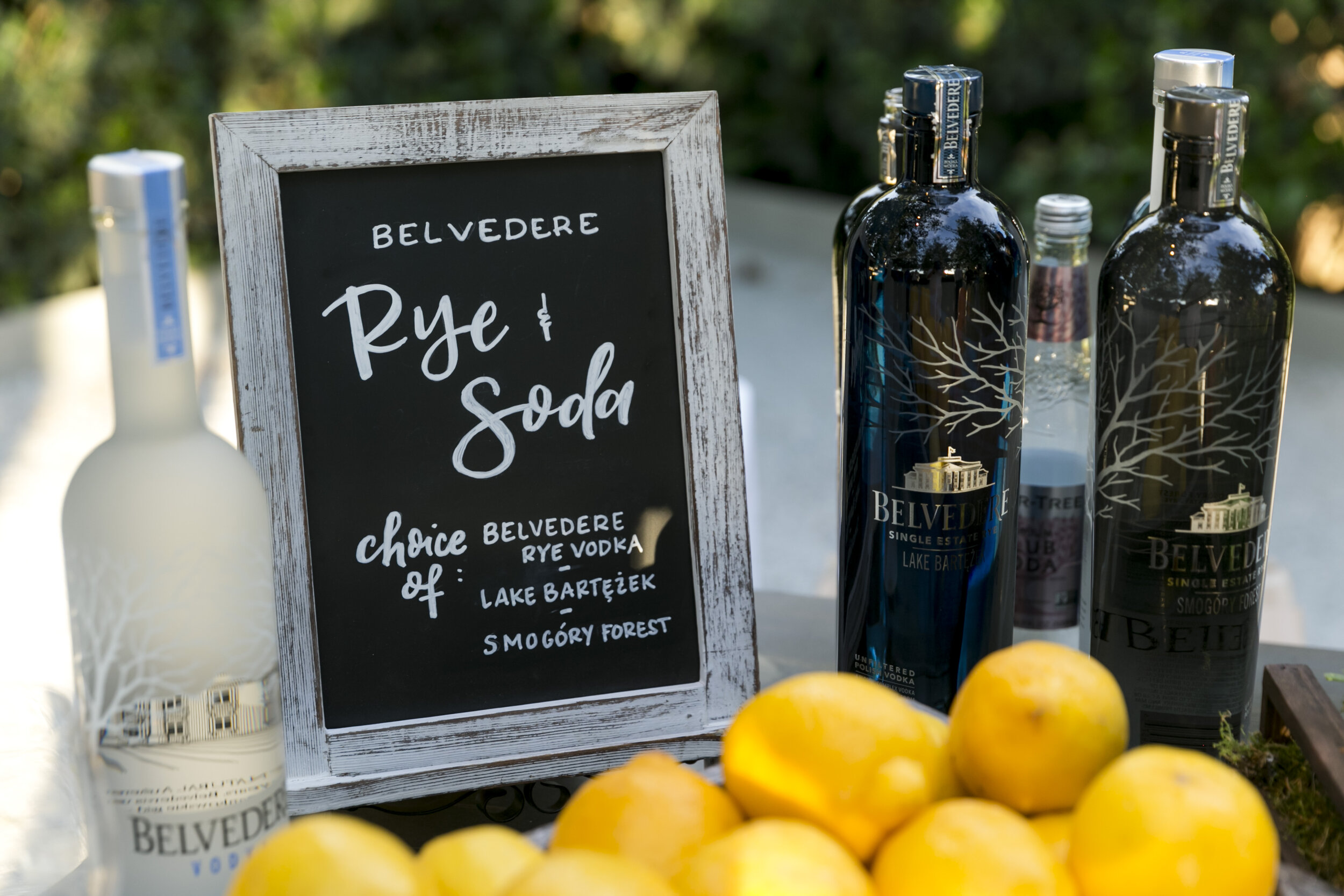 Cornerstone Sonoma Event 6.11.19_175.jpg