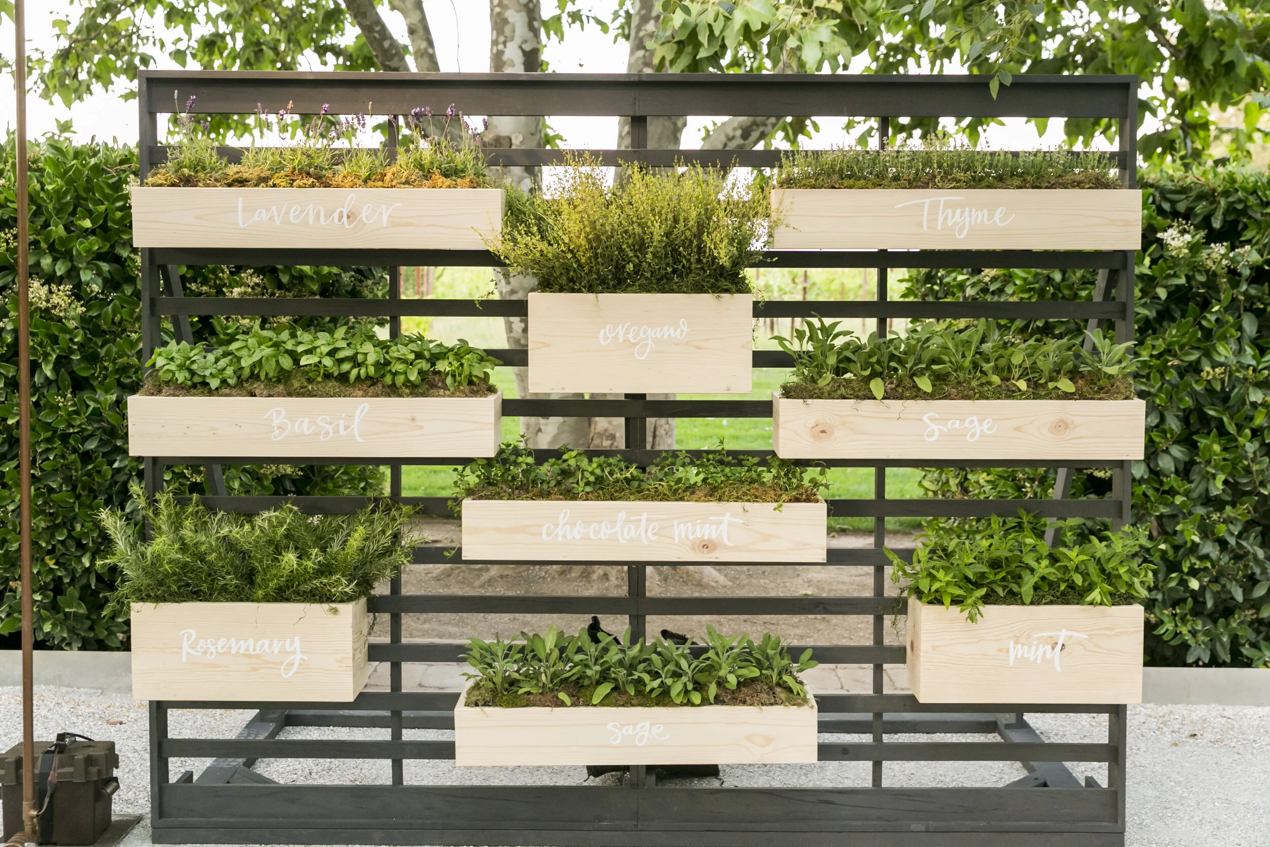 Cornerstone Sonoma Event 6.11.19_186.jpg