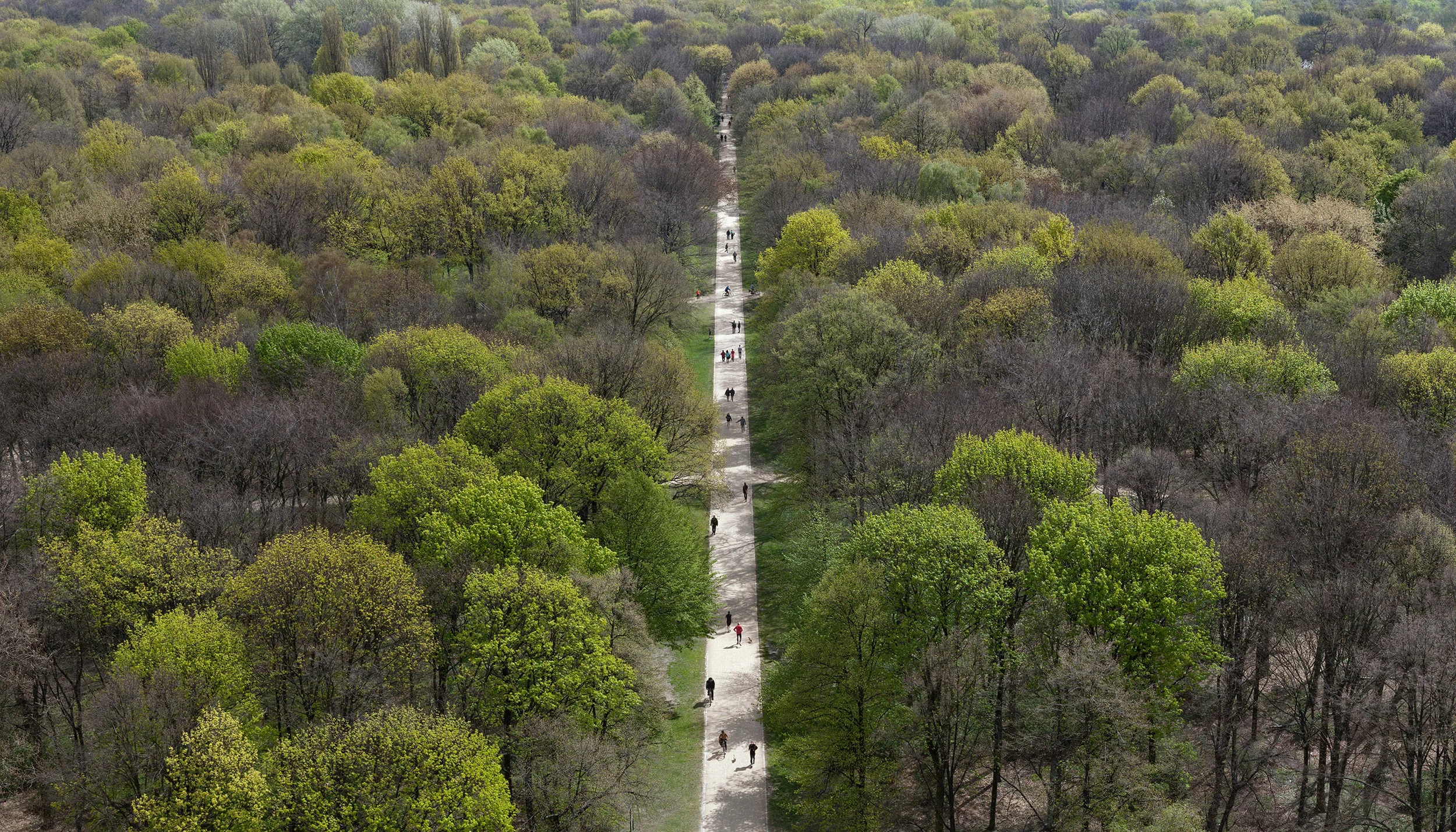 people walking on straight path through woods aerial view Tiergarten Berlin