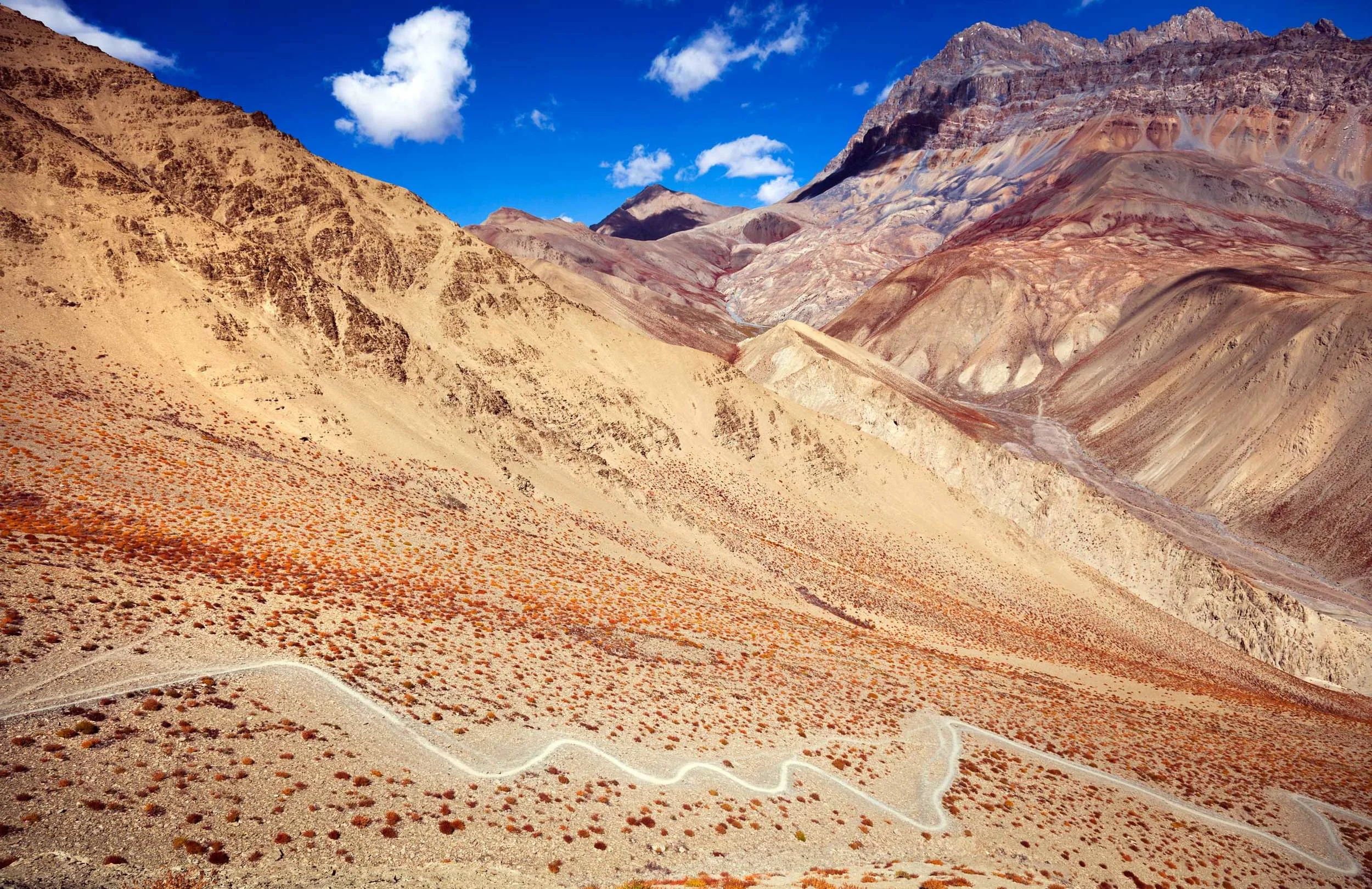 dunkmckenzie-highlight-zanskar-mountain-trail-through-autumn-spinifex-scrub.jpg